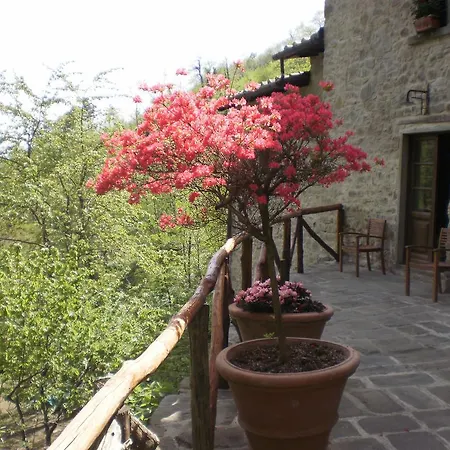 Agriturismo Molino Paradiso Bed & Breakfast *